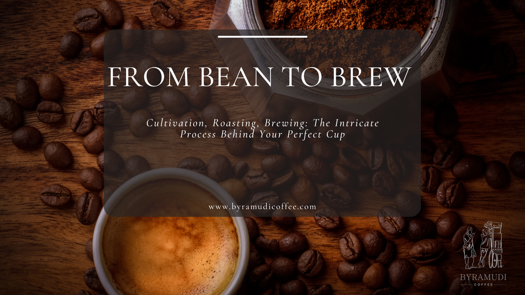Coffee's Journey to Your Cup (and Beyond)